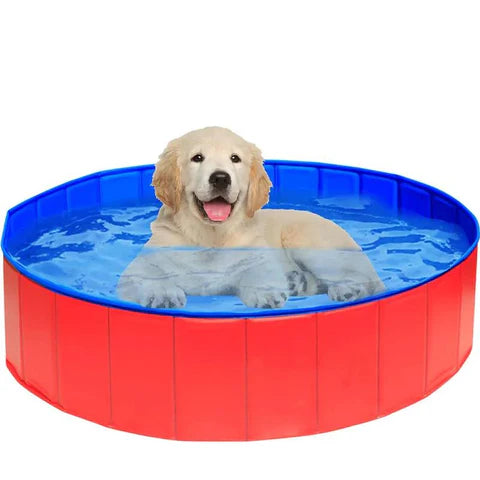 Piscina Interativa Brinquedo para Pet Dobrável