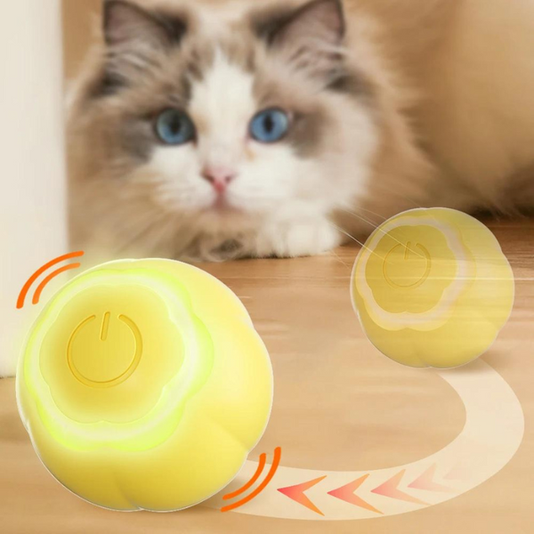 Bolinha Inteligente Brinquedo para Pet Interativo 2 Funções + Brinde
