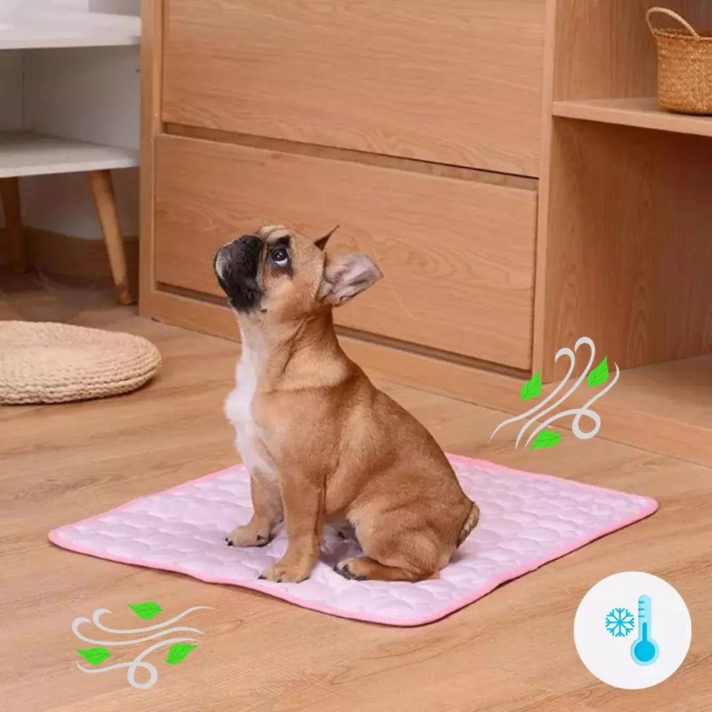 Tapete Refrescante para Pet - Cachorro e Gato