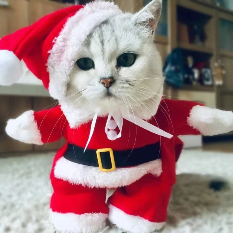 Roupa Papai Noel para Cachorro e Gato Fantasia de Natal Pet