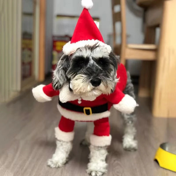 Roupa Papai Noel para Cachorro e Gato Fantasia de Natal Pet