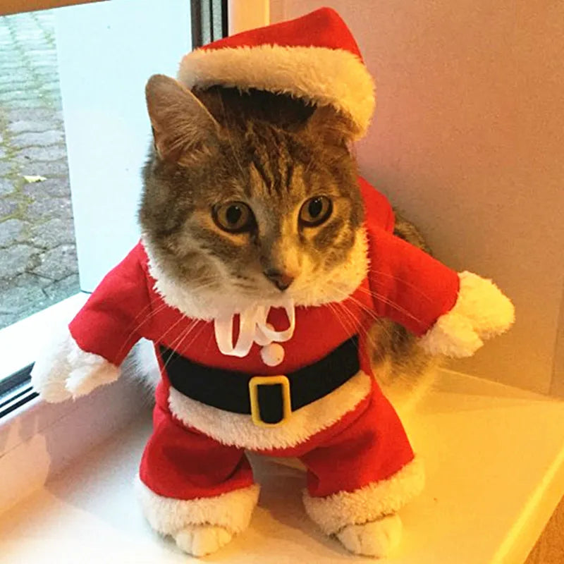 Roupa Papai Noel para Cachorro e Gato Fantasia de Natal Pet