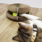 Brinquedo Placa Mágica para Gatos