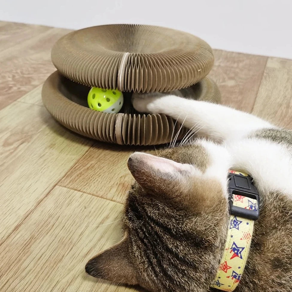 Brinquedo Placa Mágica para Gatos