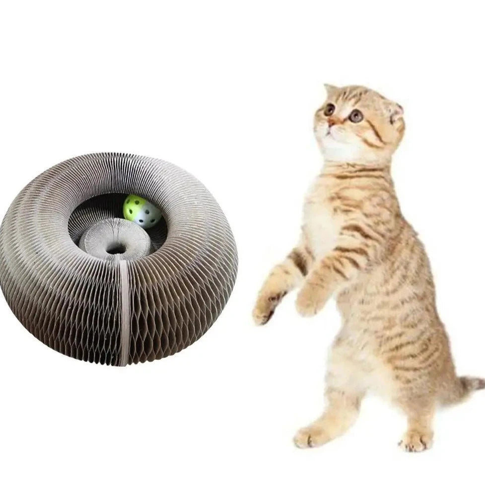 Brinquedo Placa Mágica para Gatos