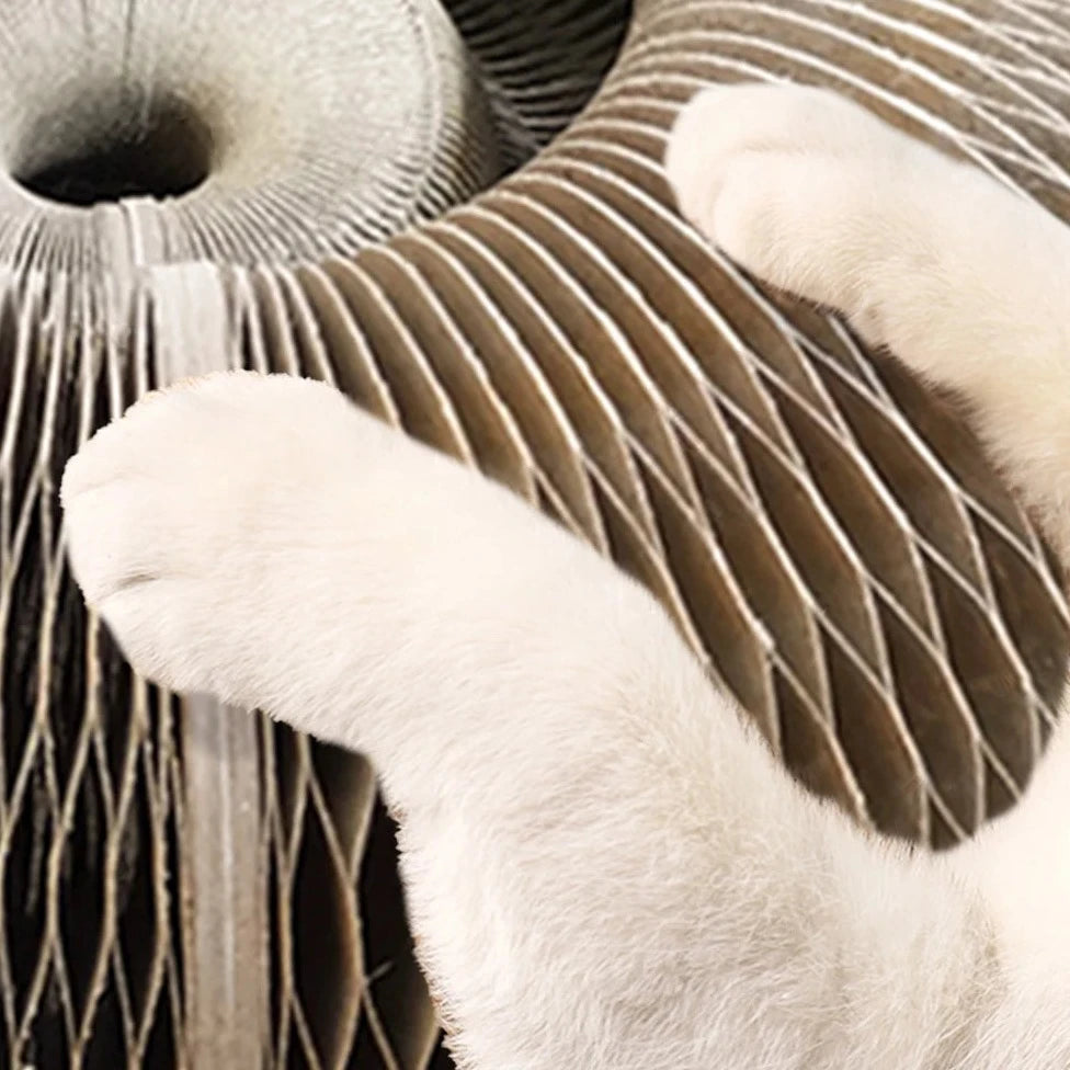 Brinquedo Placa Mágica para Gatos