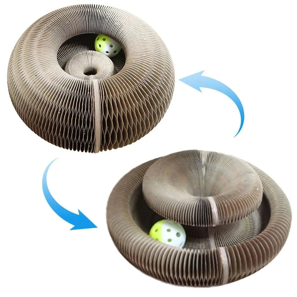 Brinquedo Placa Mágica para Gatos