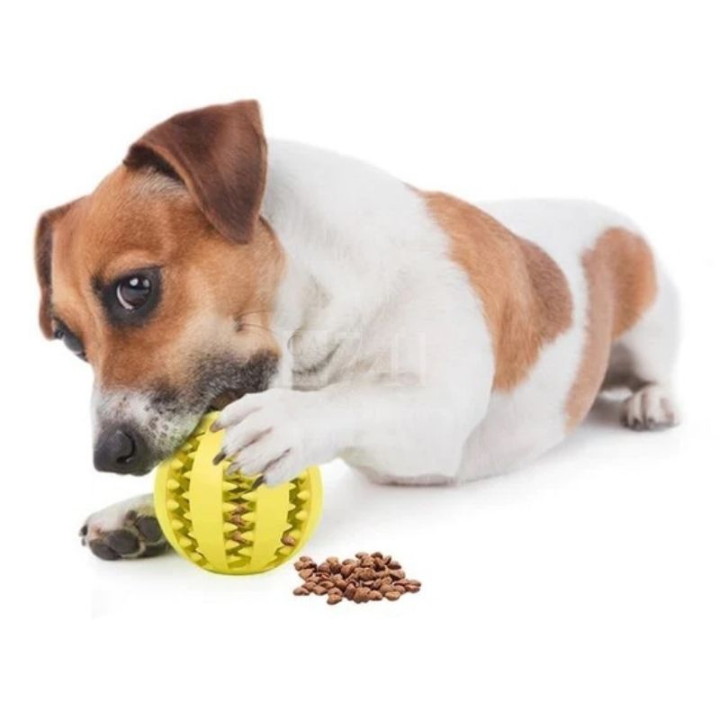Brinquedo Interativo Para Cachorro Bola de Limpeza de Dente - Pet Ball™