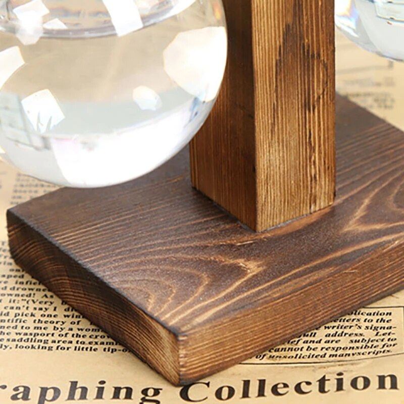 Vasos Hidropônico para Plantas - Mini Water Plant